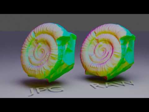 Ammonite Comparison - RAW and JPG