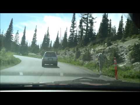Driving Through Mount Rainier National Park