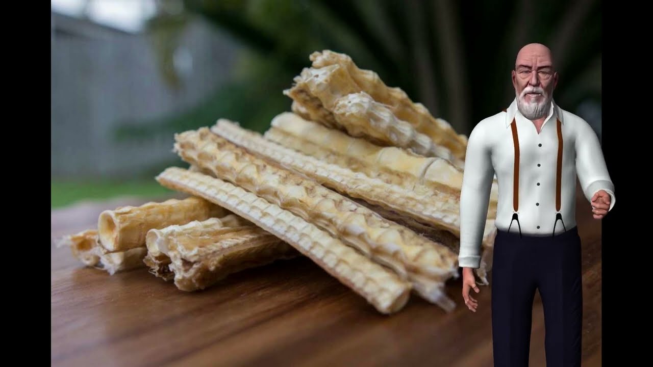 Health Benefits of Shark Cartilage