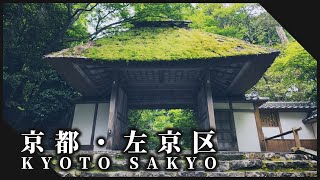 京都左京区の美しい自然に囲まれた神社仏閣３選 / Shrines and temples surrounded by beautiful nature in Kyoto【kyoto sakyo-ku】