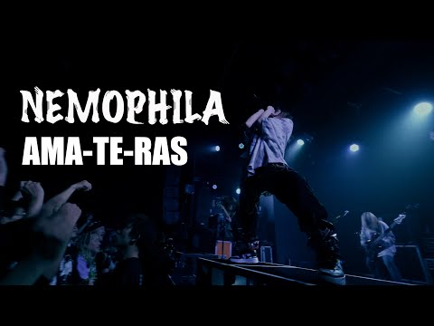 NEMOPHILA / AMA-TE-RAS [Official Live Video]