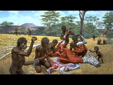 Evolution of primitive life! prehistoric life of humans.