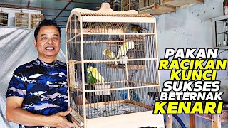 Download lagu PETERNAK KENARI‼️Pejantan, Indukan dan Anakan semua dijual... mp3