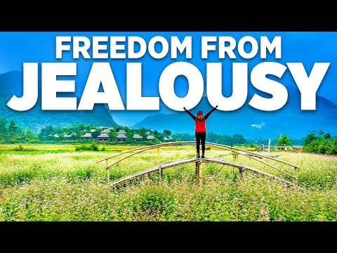 Getting Free of Jealousy 🚦 Learn how to overcome the Comparison Game (and Live a Happier Life)