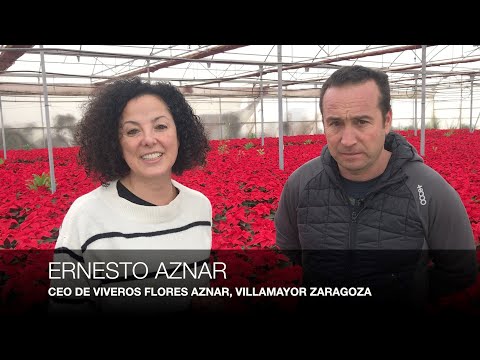 , title : 'Cultivar Flores de Pascua. Entrevista a Ernesto Aznar'