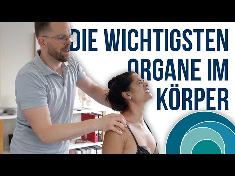 Chiropraktik | Die wichtigsten Organe im Körper | mit Melanie | deutsch | Teil 2 | #167