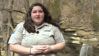 Clifty Falls Layers in Time Video