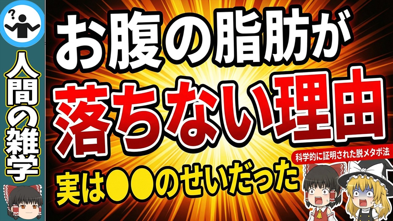 9割が間違えてるお腹の脂肪の落とし方を科学的に解説