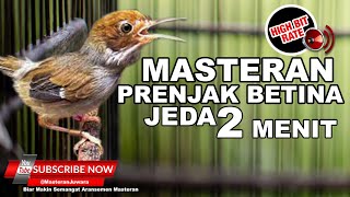 Download lagu 🔴 PRENJAK BETINA GACOR PANJANG‼️ Cocok Buat Pikat dan Masteran Mewah mp3 Download lagu 🔴 PRENJAK BETINA GACOR PANJANG‼️ Cocok Buat Pikat dan Masteran Mewah mp3