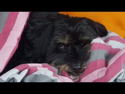 Micha Badura - Amazing Grace (feat. Amy Badura-Brown)