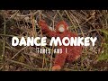 TONES AND I DANCE MONKEY MUSIC VIDEO