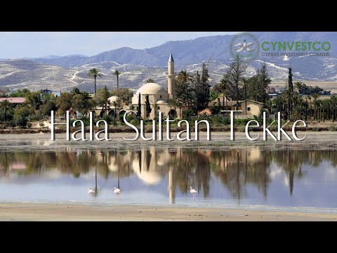 Must See in Cyprus #6 ~ Hala Sultan Tekke