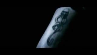 Fool the World [Severus]