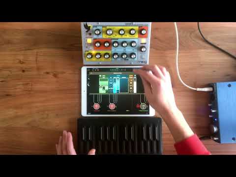 Bleass Alpha + Moog Sirin