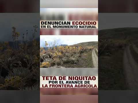Denuncian ecocidio en la Teta de Niquitao en Boconó Trujillo #denuncia #ecocidio #bocono #trujillo