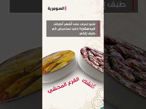 شاهد بالفيديو.. اطباق من كردستان العراق