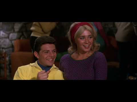 The Hondells - Instrumental (Ski Party) 1965