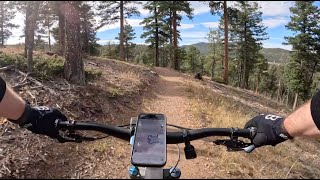 Goshawk Trail - chill easy blue flow in Beaver Ranch Park - Conifer - Colorado