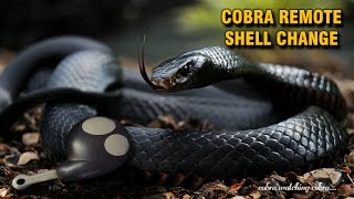 preview picture of video 'Cobra Remote Shell Change'