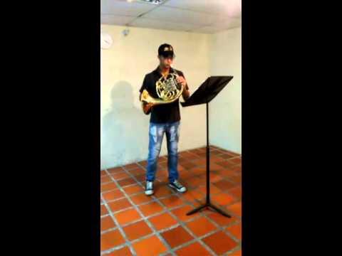 juan diego diaz - corno frances - YOA audicion 2016