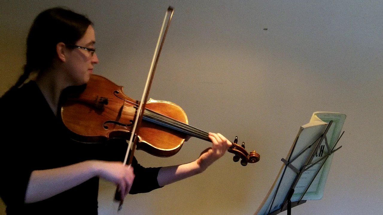 Promotional video thumbnail 1 for Violinist for Special Events