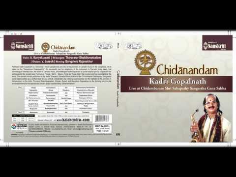 Chidanandam - Kadri Gopalnath Live At Chidambaram