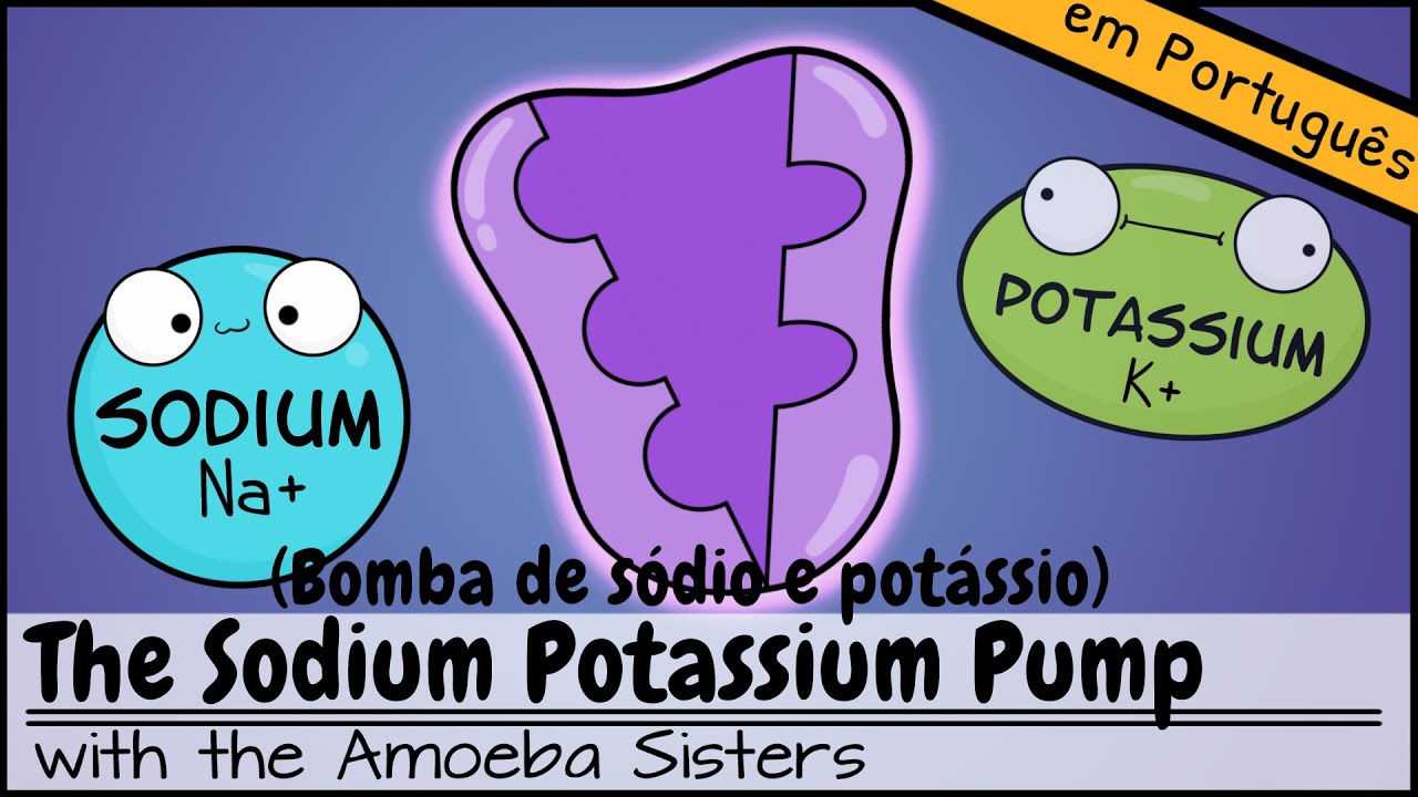 Bomba de sódio e potássio