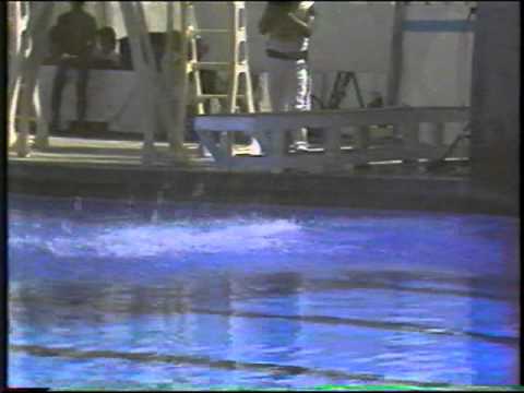 1984 Alaeddin Soueidan SYR amst cut through