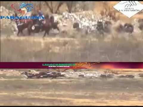 PARAGUANA 5 CARRERA, DOMINGO 28 DE AGOSTO DEL 2016