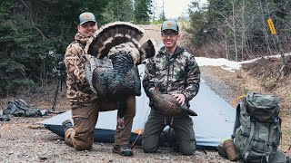 WILD Backwoods Mountain Turkey Hunt (Hunt, Camp, Cook)