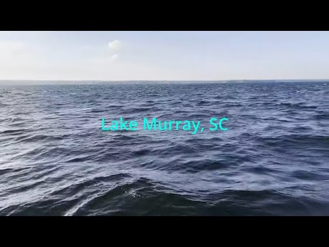 AMAZING Visibility on Sunken 100+ Year Old Bridge!!! Dive Into Lake Murray History!
