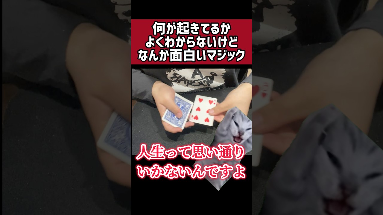 フォローしてくれる優しい人探しがしてます#マジシャン #マジック #magic #トランプ #トランプマジック