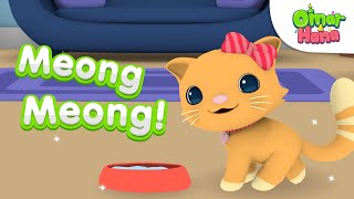 Download lagu ππ± Lagu Meong Meong | Lagu Anak Islami | Omar & Hana Indonesia mp3 Download lagu ππ± Lagu Meong Meong | Lagu Anak Islami | Omar & Hana Indonesia mp3