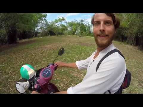 HONDA WAVE. Wie fährt man ein halbautomatik Motorrad?