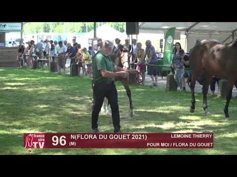 Sprinter Sacré Show 2021 : Lot 96 - N.21 Flora du Gouet