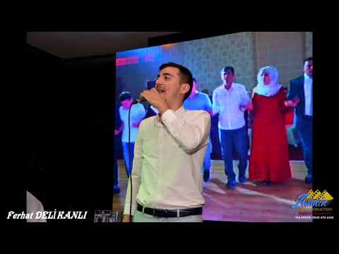 "EYŞOKE HALAYI 2022" Ferhat Delikanlı (Official Music Video) | Yeni Kayıt 2022 ®