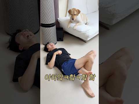 사랑 테스트 #포캣멍센터 #리트리버 #유기견