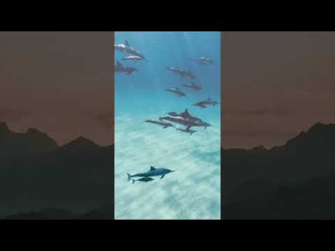 A Journey of Self-discovery towards Self-Acceptance thumbnail