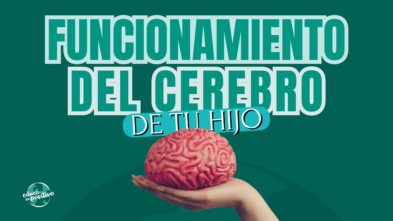Descubre cómo funciona el cerebro de tu hijo con Isabel y Dani de #EducaEnPositivo