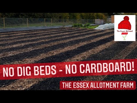 NO DIG BEDS USING ZERO CARDBOARD! | vegetable grower UK | vlog #46
