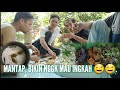 Jejak Si Ege Episod 003 Nasi Liwet Plus Ikan Goreng Kering Bikin Nggk Mau Ingkah