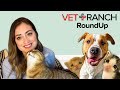 Puppies Puppies And MORE PUPPIES On This Week S Vet Ranch RoundUp