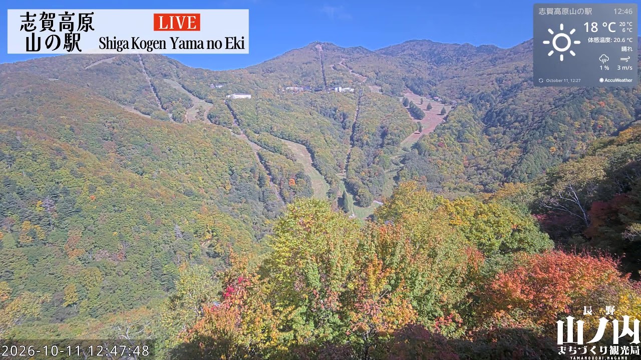 Shiga Kogen Yama-no-Eki