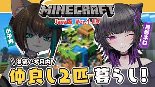 #3【Minecraft】#笑いが月内 の2匹でのんびりまったりマイクラ生活🐱💜✨【月影ネロ/Vtuber】