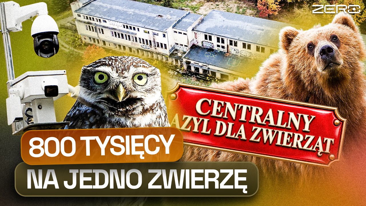 AZYL WIDMO DLA ZWIERZĄT. MILIONY NA PENSJE, OŚRODEK W RUINIE
