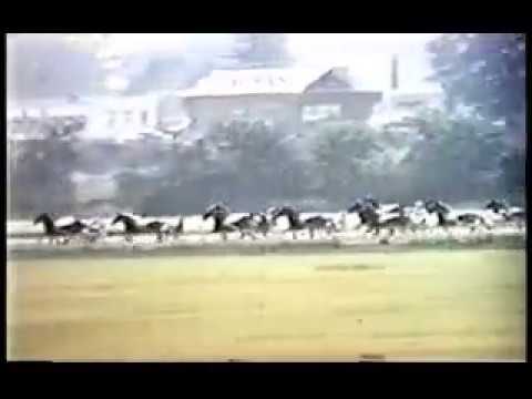 1956 Good Time Park THE INTRUDER Hambletonian Final Heat Ned Bower