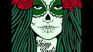 Shiny Radio - Dorothy Ashby