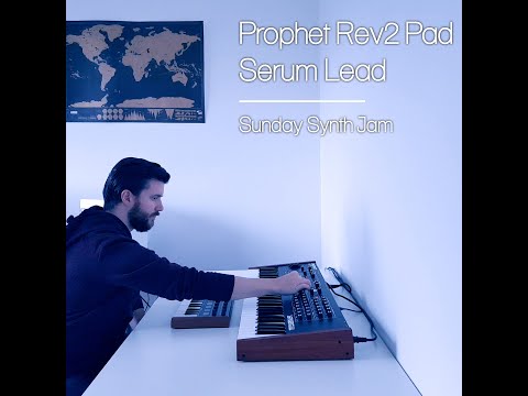 Prophet Rev 2 Pads / Serum Lead