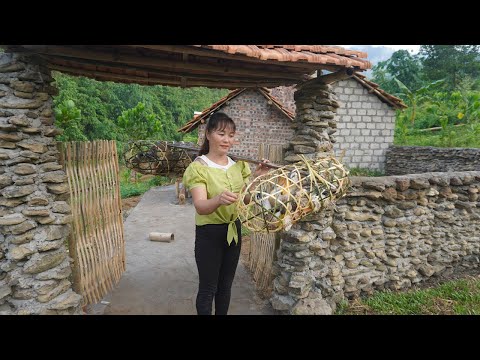 Single Mother Farm - Harvesting Ducks goes to the market sell - Free Bushcraft, LIVING OFF GRID
