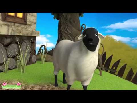 WAPWON COM Graiul Animalelor   CanteceGradinita ro   Cantec pentru copii cu animale